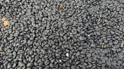 A large number of dried black beans are densely spread out, representing abundance and a harvest ready for processing or cooking