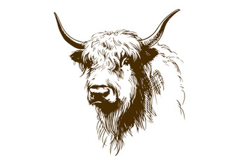 Yak hand drawn sketch illustration vector