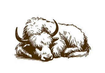 Yak hand drawn sketch illustration vector