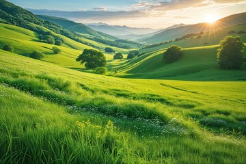 Fototapeta premium Vibrant Summer Green Grassland Landscape Views