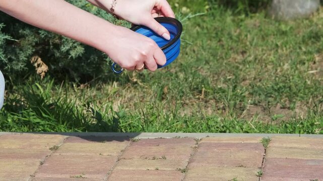 Girl holds a collapsible silicone bowl for animals, unfolds it and puts it on the tiles in the park. Traveling with animals. Walk on a sunny day in the city park. Care concept, animal life

