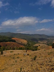 Fototapeta premium landscape with mountains