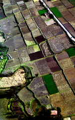 Plantações no altiplano, Cusco. Peru.