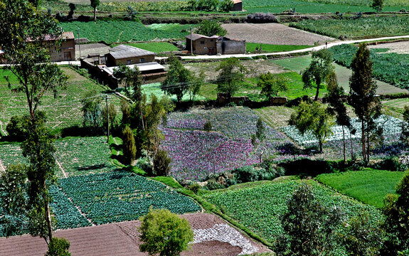 Pequenas propriedades rurais em Junin. Tarma. Peru.