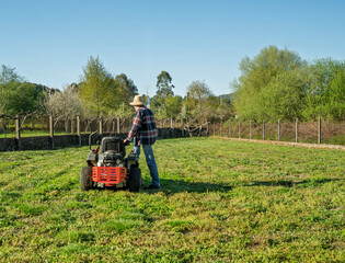 Man mowing spring lawn on red tractor in garden with apple and pear trees. Wearing work boots and...