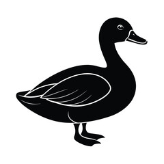 Isolated Duck Farm Bird Vector Illustration