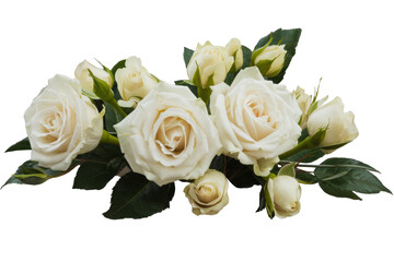 white roses bouquet isolated on white background