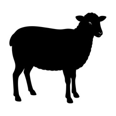 Sheep silhouette vector isolated on white background