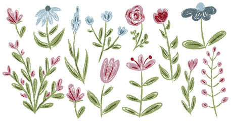 Set chalk botanic blossom floral elements. Branches, leaves, herbs, wild plants, flowers. Hand drawn garden, meadow field collection. Kids freehand vintage pencil textured vector illustration isolated