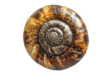 Parivritta Svarga Dvijasana isolated on transparent background
