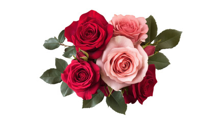 Fototapeta premium Top View of Red and Pink Rose Bouquet Isolated on White Background