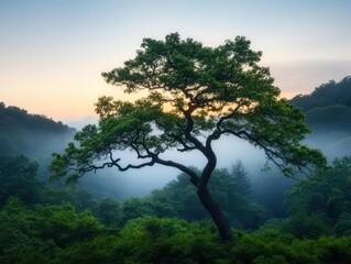 Fototapeta premium Majestic Tree Standing Alone in Lush Green Forest Surrounded by Dense Foliage and Sunlight Creating a Tranquil and Enchanting Natural Scene