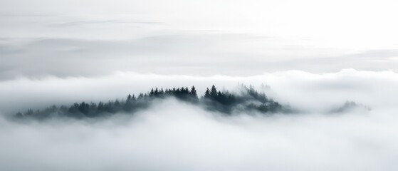 Fototapeta premium A serene view of trees emerging from soft, misty clouds.