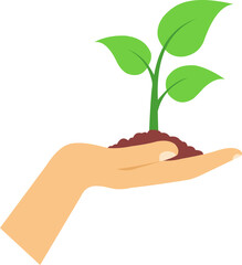 Hands Holding a young green plant