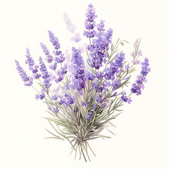 Naklejka premium Floral flower vector Illustrations on white background