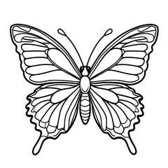 butterfly on white background