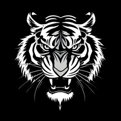 Fototapeta premium Tigers Head in Black Background