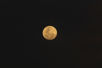 Fototapeta premium The full moon in the night sky, closeup of photo.