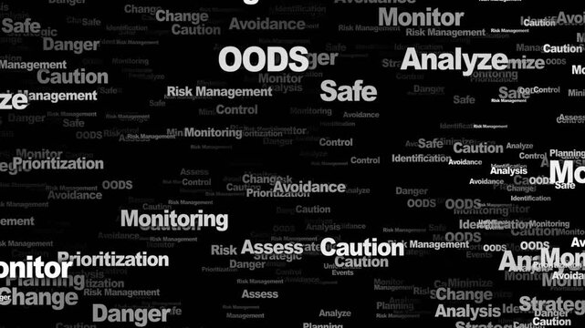 RISK MANAGEMENT Keywords Animation, Background, Loop
