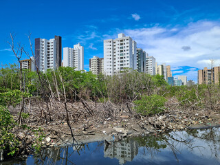 Degraded mangrove surrounded by residential buildings