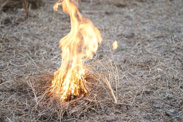A pile of dry straw set on fire, with flames blazing brightly in a dry environment, reflecting rural life or land preparation for farming.