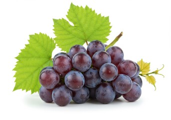 A bunch of fresh grapes with green leaves isolated on a plain white surface in a studio shot