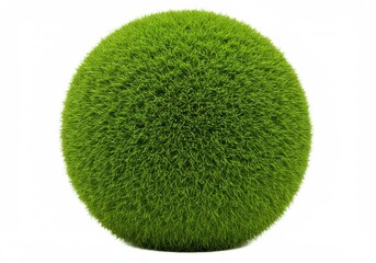 A vibrant green moss ball sits against a stark white background in a studio setting for a clean look