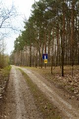 Obraz premium Znak „droga bez przejazdu” w sosnowym lesie – Polska