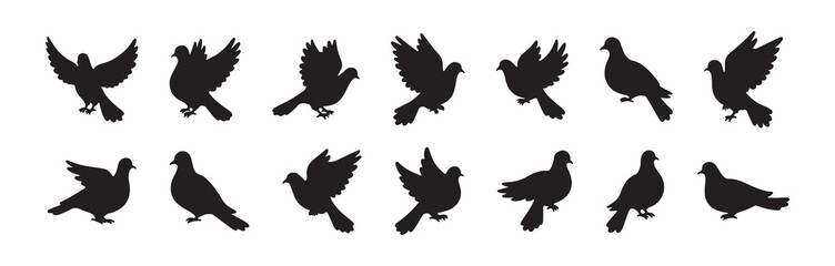 Pigeon silhouette collecton set. Flying and resting doves illustration. Pigeon in various poses.