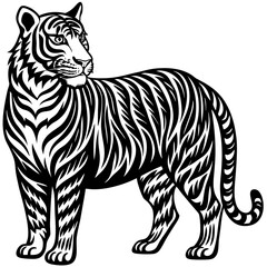 Standing Tiger Vector Illustration Black And White Stripped Bengal Tiger Graphic
