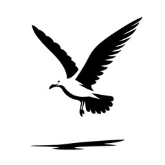 Obraz premium seagull silhouette , seagull vector