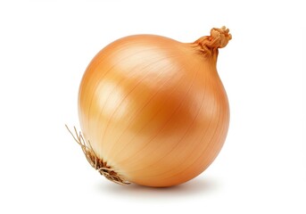 Isolated single golden onion with dry roots and stem on a white background in a studio shot