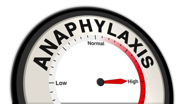 Anaphylaxis text or word displayed with a barometer or tachometer-style gauge showing levels from low to normal to high, symbolizing the severity of allergic reactions and emergency medical response