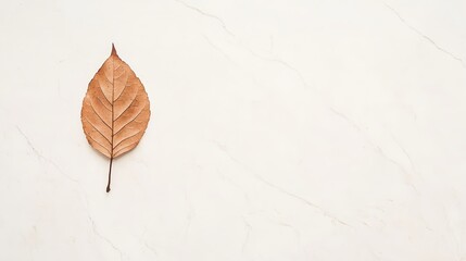 Falling leaf natural setting high fidelity image minimalistic environment close-up view hyperrealistic concept
