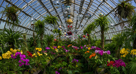 Colorful Greenhouse Garden With Orchids And Plants