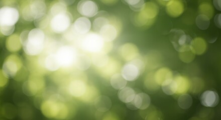 Soft bokeh background with green nature light