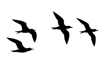set of seagull flying silhouette vector illustration