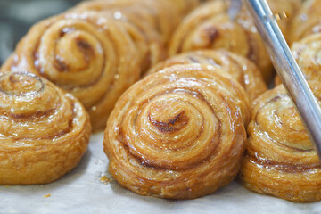 Freshly baked cinnamon rolls ready for serving in a bakery