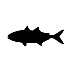 Obraz premium Abu Mullet Fish Silhouette Vector Icon