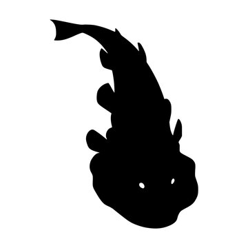 Abyssal Snailfish Silhouette Deep Sea Fish