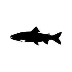 Obraz premium Ala Balik Fish Silhouette Icon - Black Vector