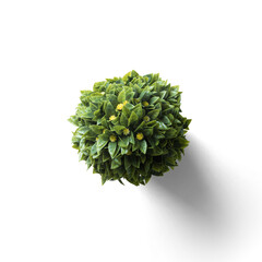A spherical arrangement of green leaves, resembling a plant or decorative foliage.