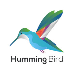 huming bird
