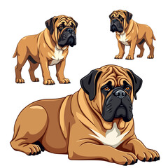 Obraz premium English mastiff vector illustration