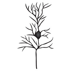 Pyramidal Neuron glyph icon
