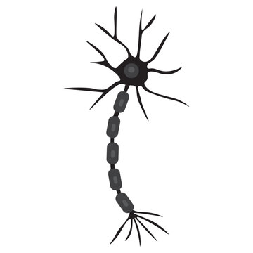 motor neuron glyph icon