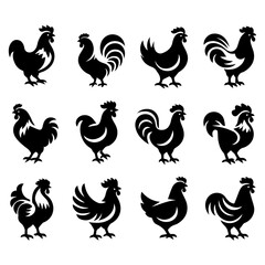 Vibrant black hen illustrations for wildlife enthusiasts