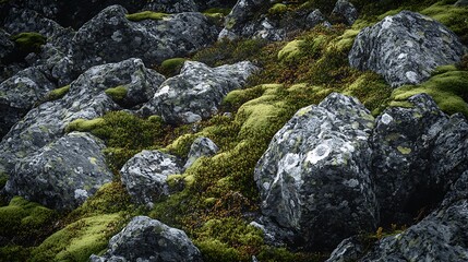 Rocks with Green Moss Growing on Them