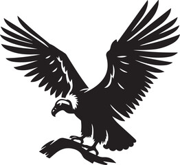 Andean Condor illustration, Andean Condor silhouette vector isolated on white background