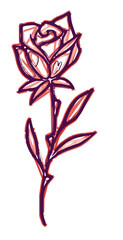 Rose line drawing 